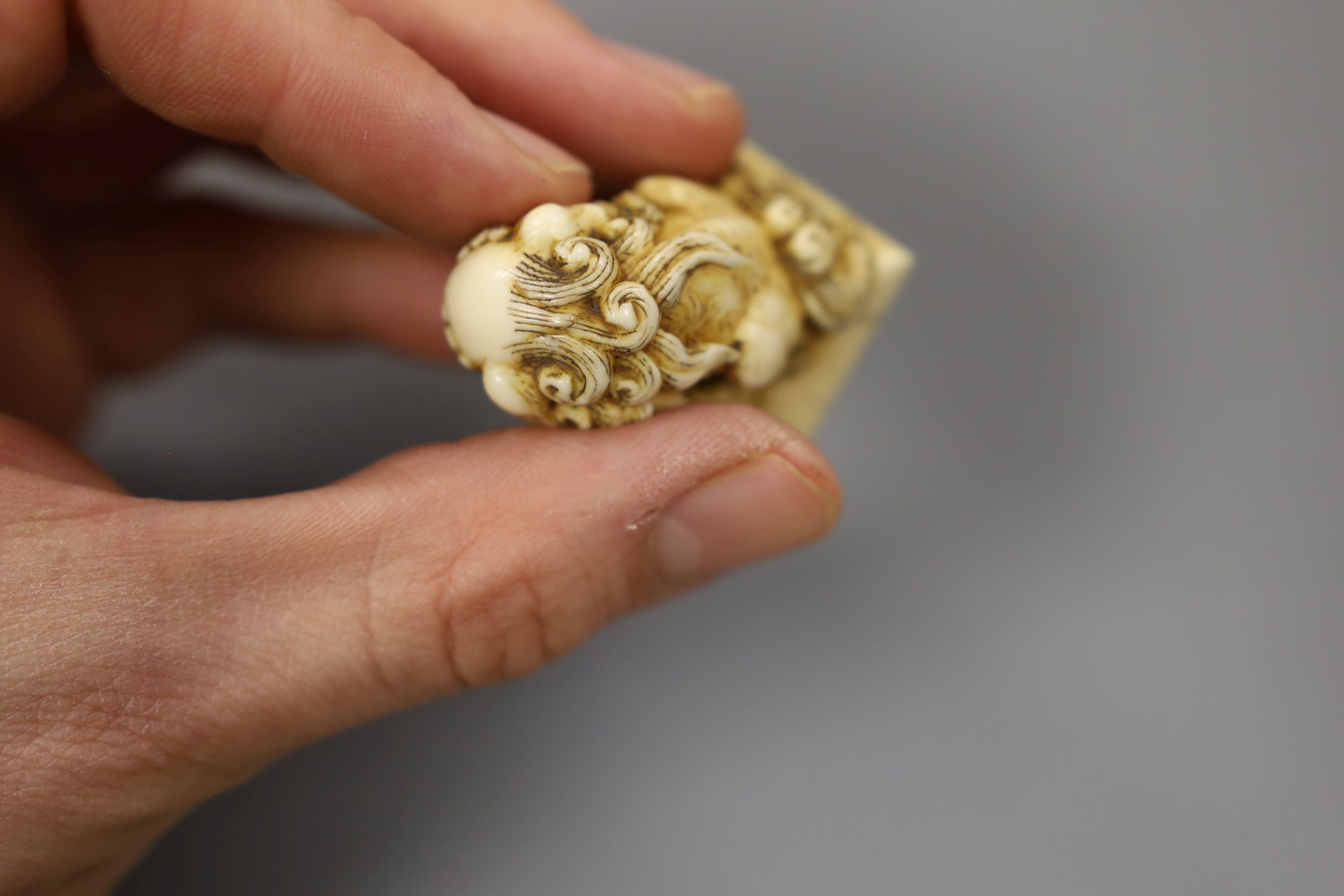 A Chinese or Japanese ivory lion dog 18th/19th century and a Chinese carved nut cup, 19th century. 4cm